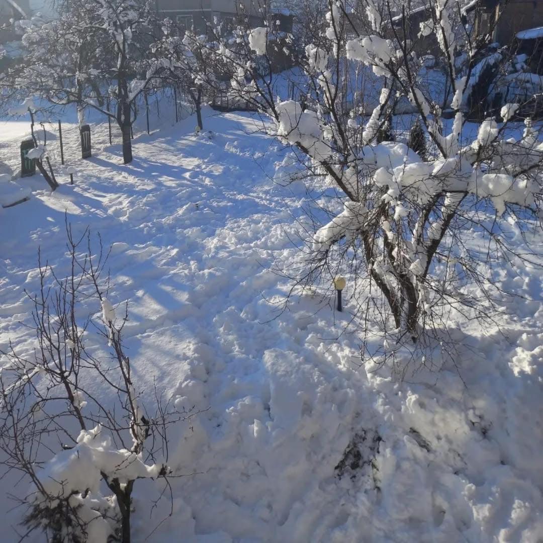 Guest House Raffe Dobrinishte Bagian luar foto